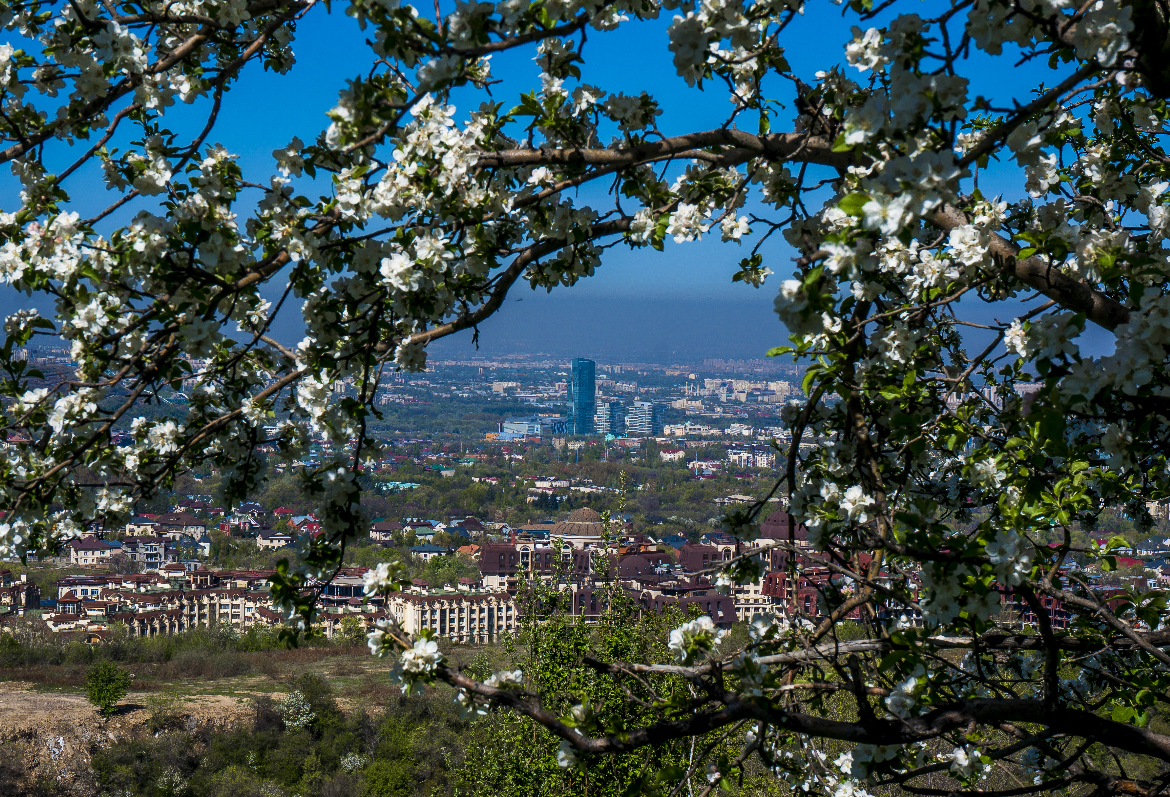 Исторический сити-тур: развитие Алматы в течение последних 130 лет